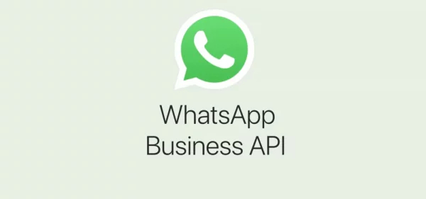 WhatsApp Business API - Learning Content